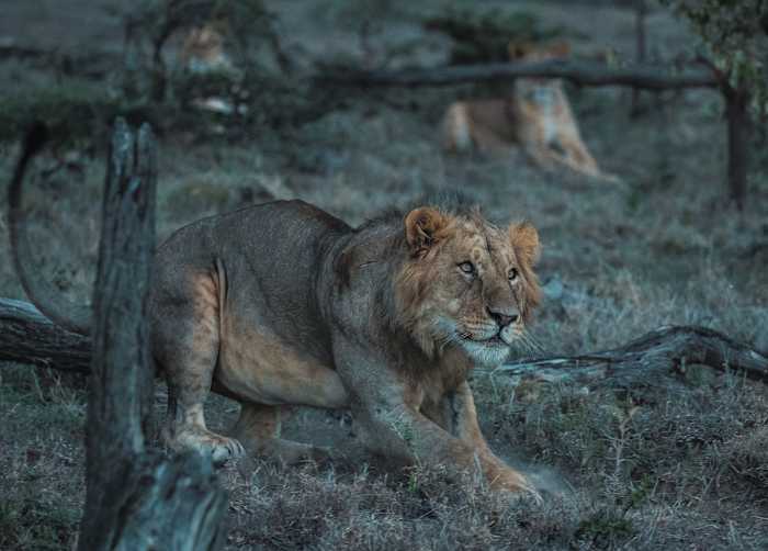 BK8I8185 - ARTICLE.jpg